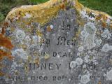 image of grave number 356157
